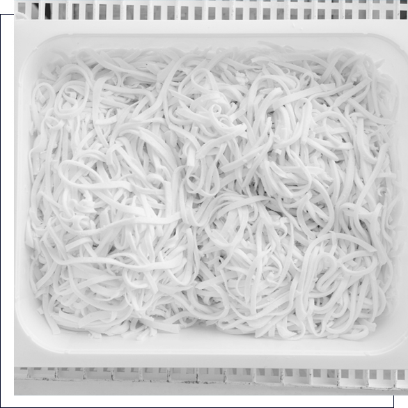 casearia-pugliese-mozzarella-julienne-bw